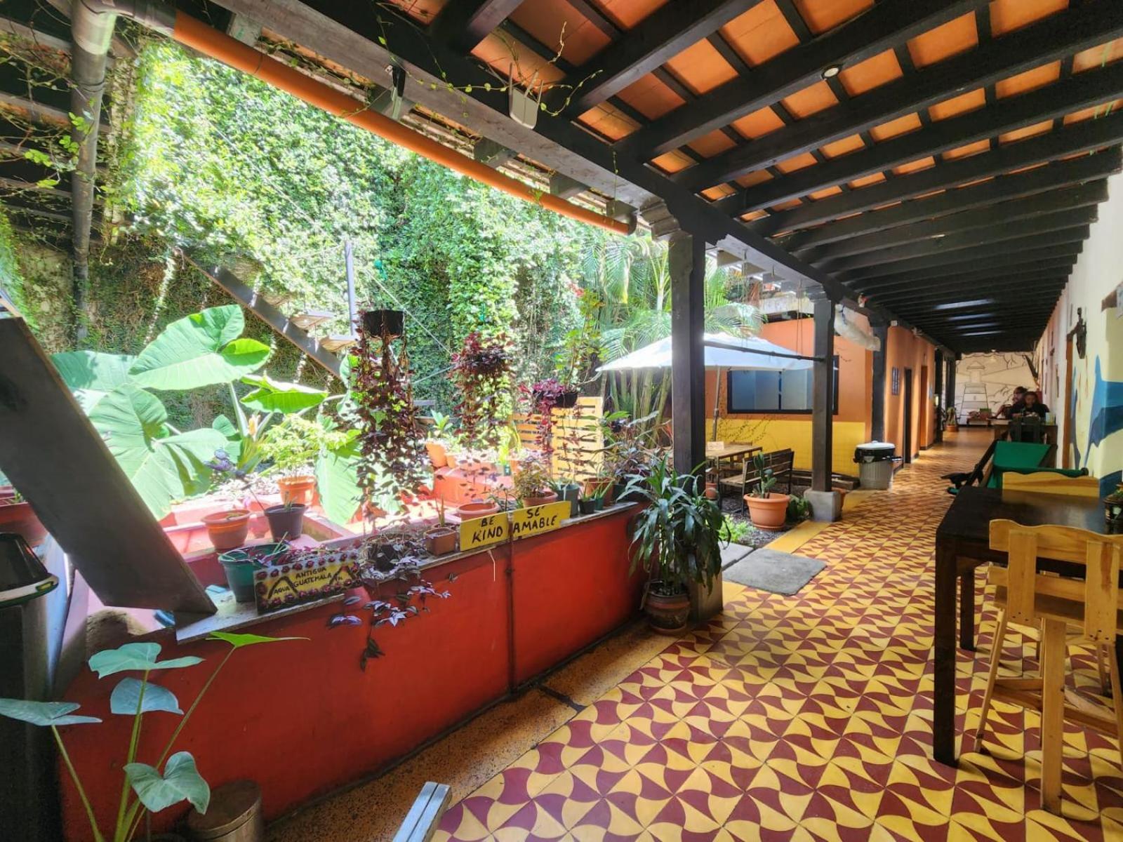 Amura Hostal Антигуа-Гватемала Экстерьер фото